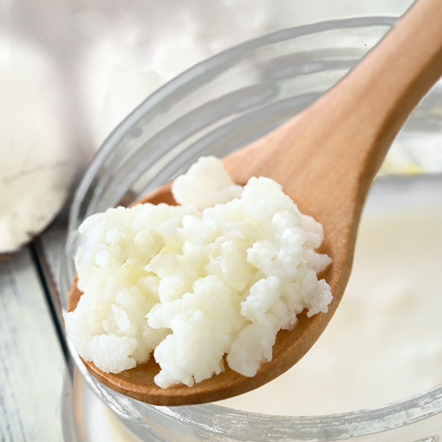 Le Kefir grains