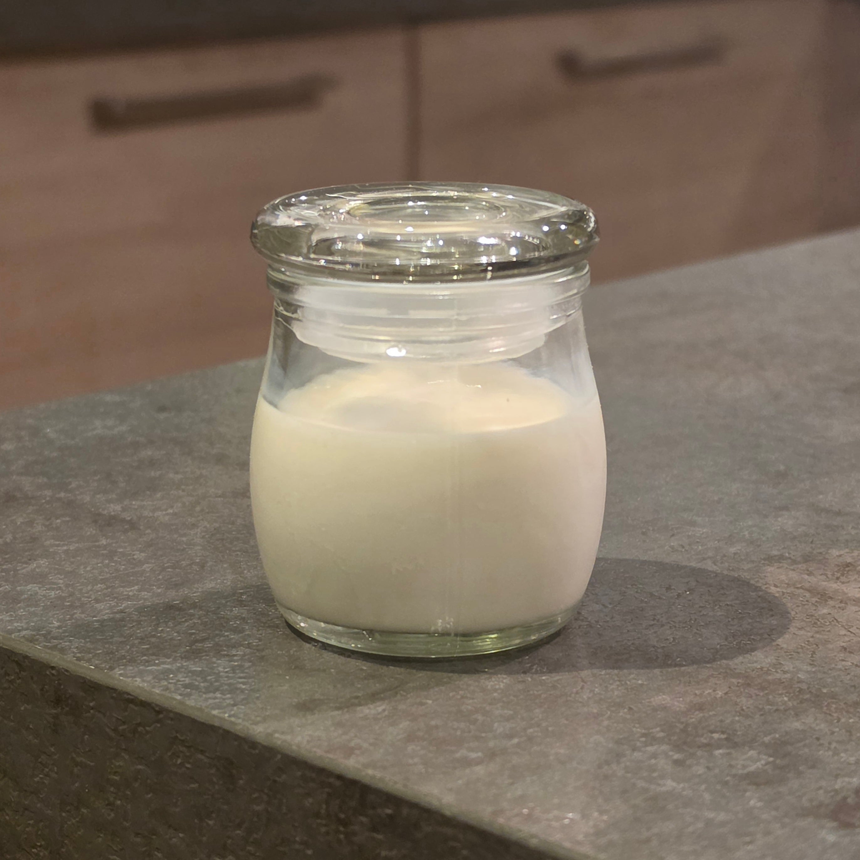 Le Kefir grains